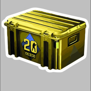 sticker cs / go case