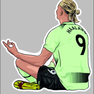 sticker haaland celebration